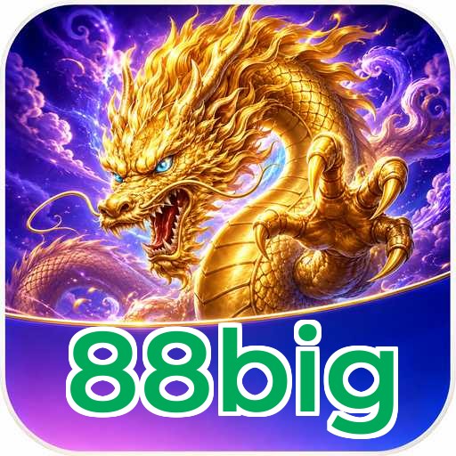 Developer Info 88big
